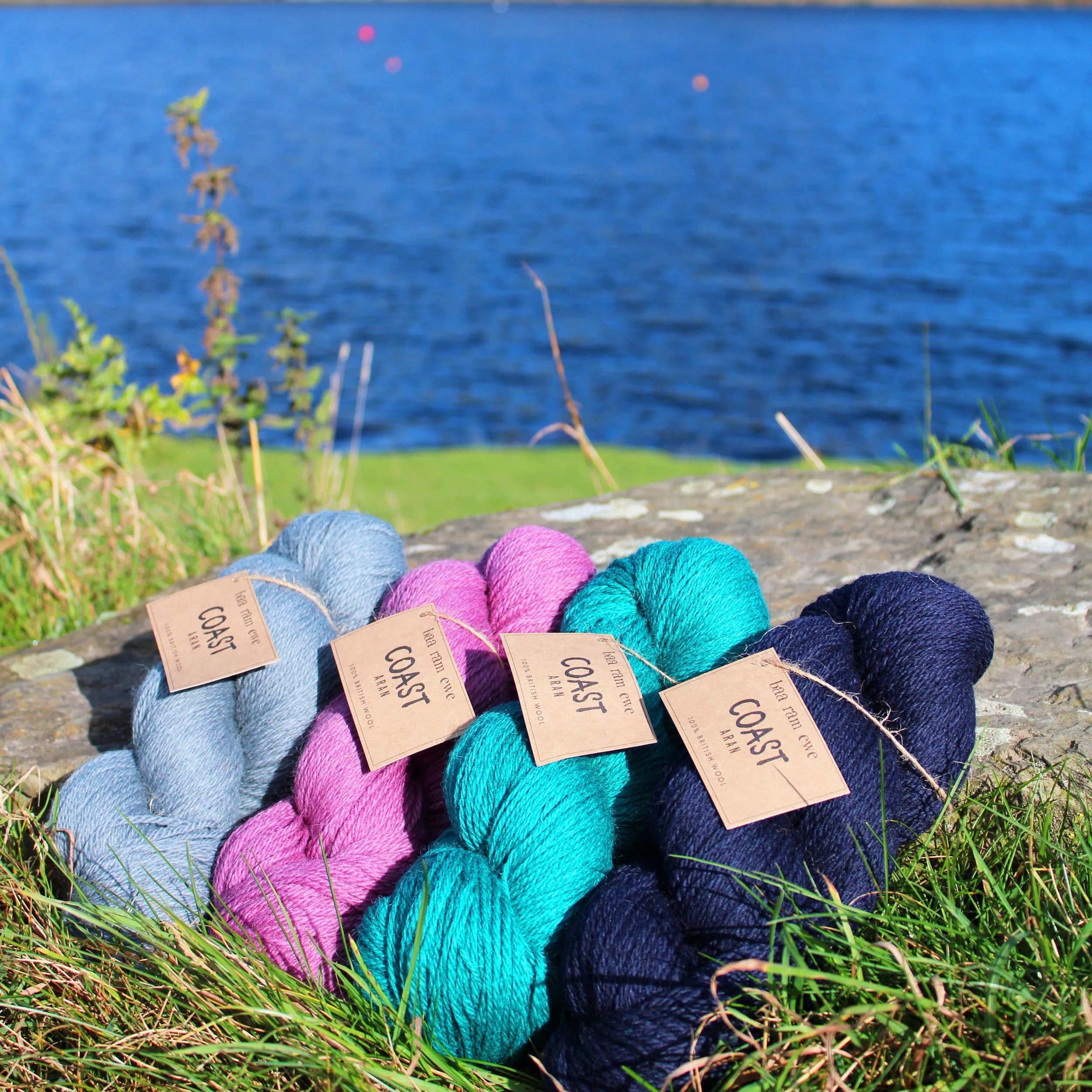 Baa Ram Ewe COAST Yarns