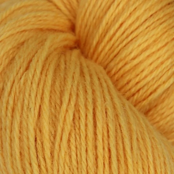 Baa Ram Ewe COAST Yarns
