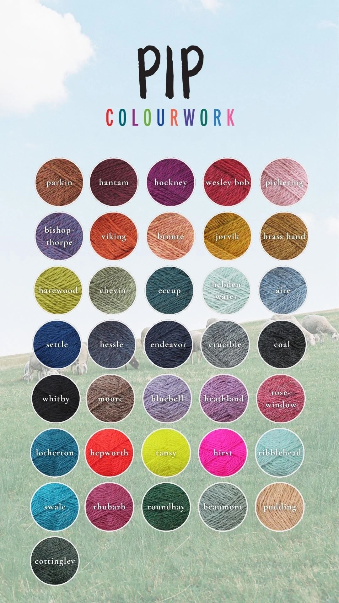 Baa Ram Ewe Pip Colourwork Yarn