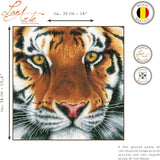 Tiger (Evenweave) - Lanarte Cross Stitch Kit PN-0156010