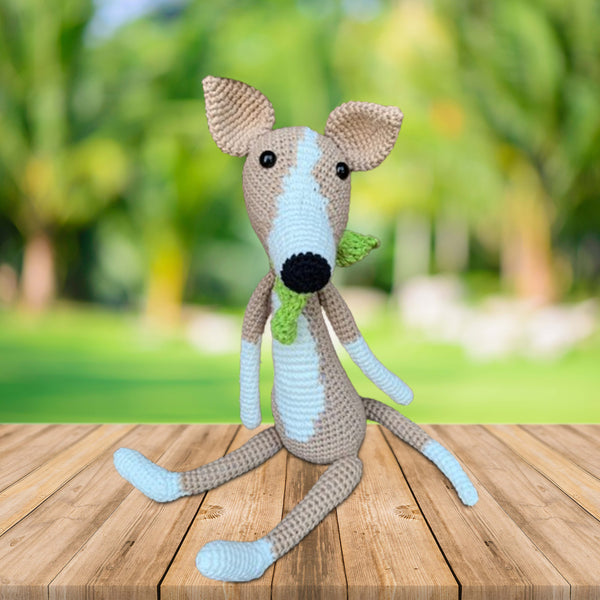 miniature greyhound breed, small greyhound dog breed, miniature greyhound puppy, miniature italian greyhound, mini italian greyhound, miniature greyhound for sale, greyhound breeds small, greyhound dog small, little greyhound dog, mini italian greyhound dog