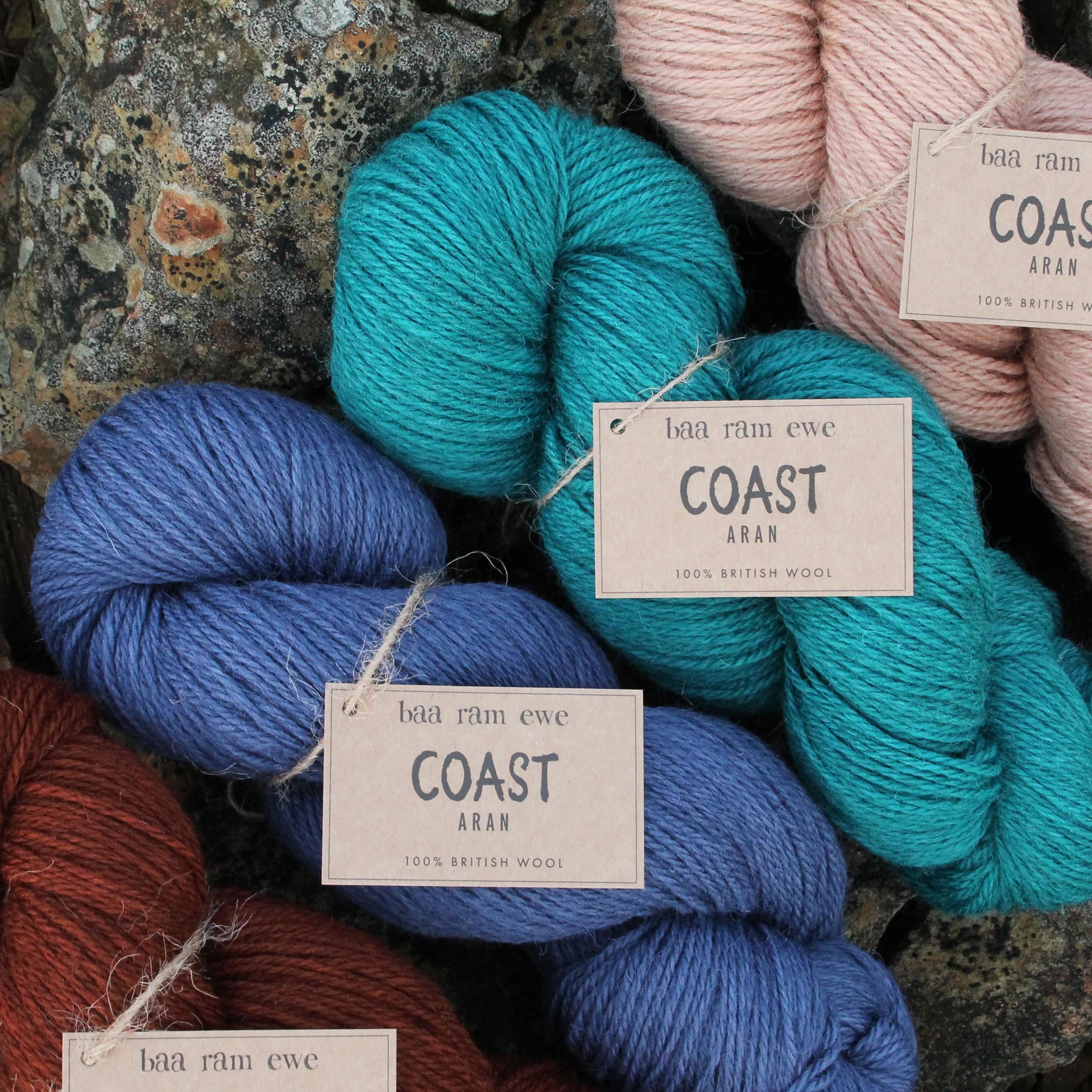 Baa Ram Ewe COAST Yarns